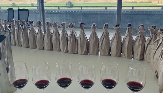 Glasses of red wine in a tasting room with a view of Hawke's Bay