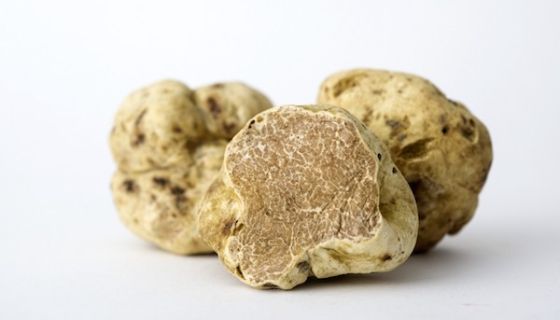white truffles