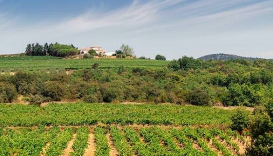 Ch La Sauvageonne in Larzac exterior by Soufiane Zaidi