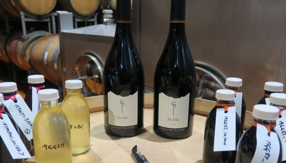 Tasting bottles and samples at Craggy Range winery