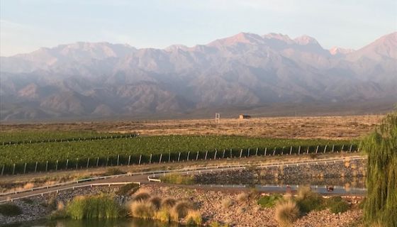 Dawn in the Uco Valley with sun on the Andes