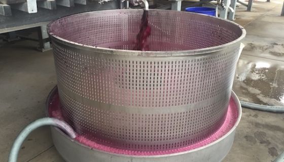 Basket press drained at a Baross Valley winery 2020