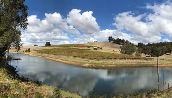Mazza vineyard WA