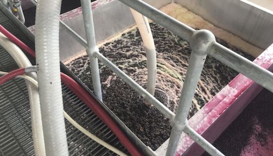 Grape must hose in a Barossa winery