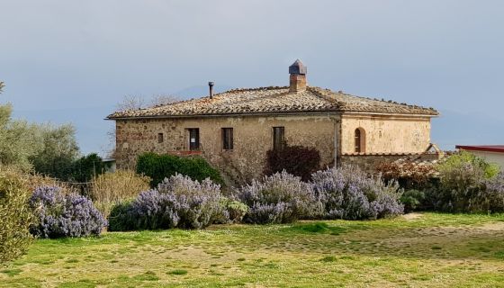 The heart of San Polino estate