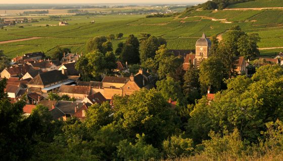 The village of Chambolle-Musigny from above in autumn