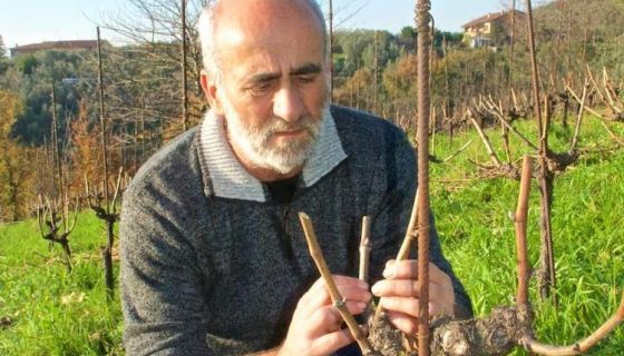 Maurizio Gily by Andreas Maerz