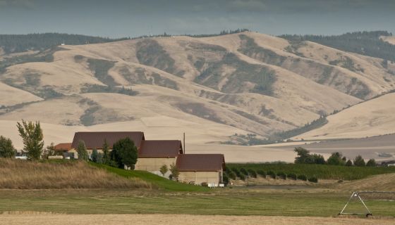 Pepper Bridge vineyard in Walla Walla, Washington state