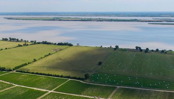 Ch Leoville Las Cases vineyards by the Gironde in the Medoc, Bordeaux