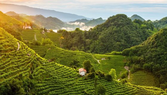 Hills of the Prosecco region in north east Italy