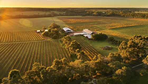 Cullen Wines drone view