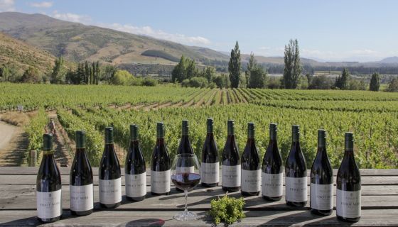 Felton Road – 13 vintages of Pinot Noir