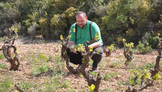 Thomas Teibert with old vines of Domaine de l'Horizon, Roussillon