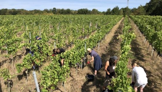 2Naturkinder vineyard