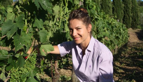 Montemaggio - Valeria Zavadnikova