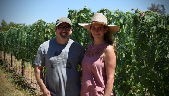 Solminer - David and Anna deLaski