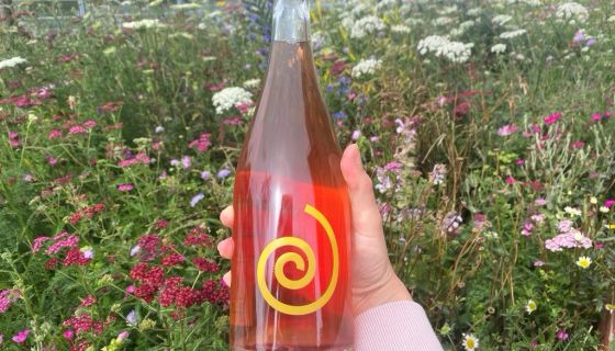 Tillingham Wines in East Sussex