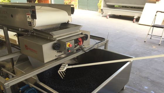 Napa berry table to crusher to bin