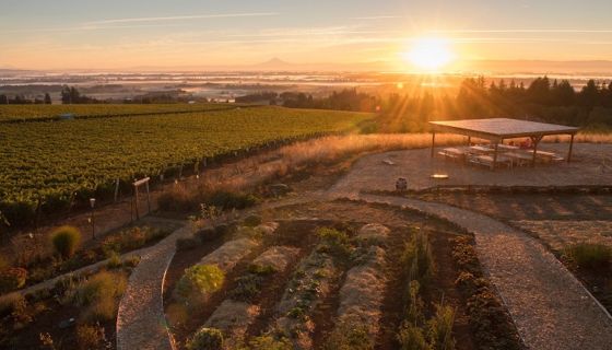 Brooks Wines of Willamette Valley