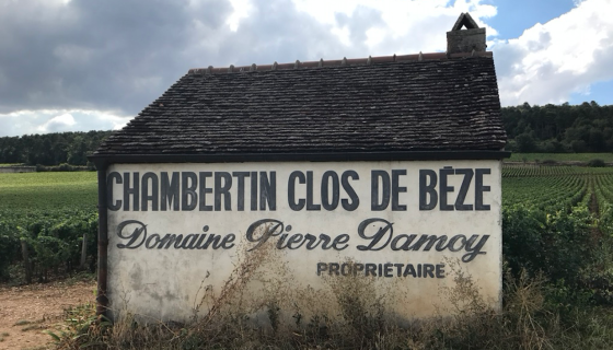 Close de Beze in September 2020 by Matthew Hayes