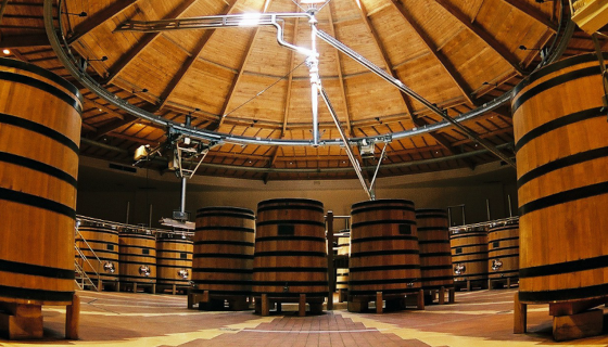 Louis Jadot's cuverie outside Beaune