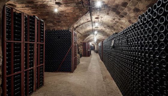 Bottles of champagne sur lattes