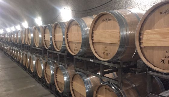 Barrels in a Napa Valley cave 2020