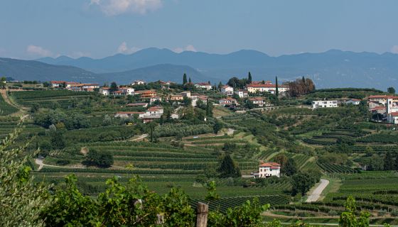Brda landscape in western Slovenia