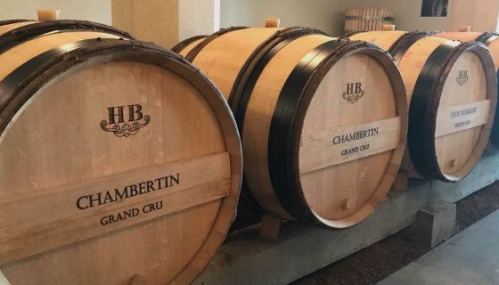 Barrels at Henri Boillot in Volnay, Burgundy