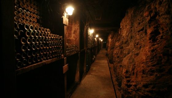 Cellars at Château Musar
