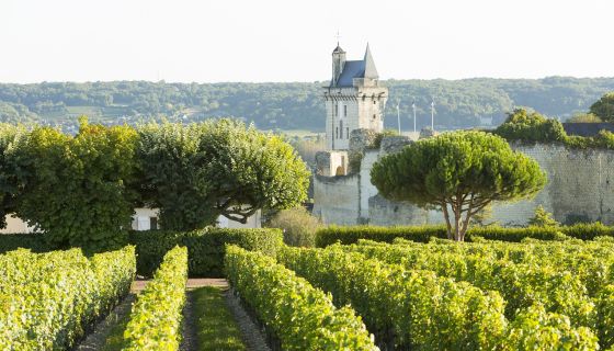 Loire Chinon Stevens Fremont from Victoria Kukla InterLoire