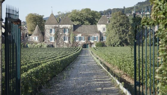 Ch de la Commaraine in Pommard