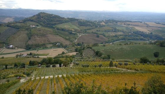 View from Bertinoro in Romagna