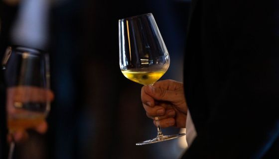 white wine in Jancis Robinson glass