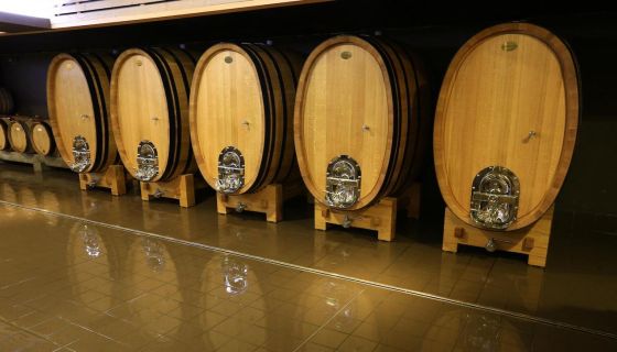 Tardieu-Laurent's foudres in their cellars in Lourmarin