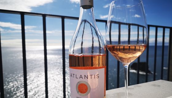 Atlantic rose looking over the Atlantic in Madeira