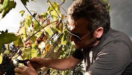 Alessandro Mori of Il Marroneto