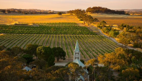 Henschke's Hill of Roses