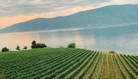 Kelowna Okanagan BC by Kolby Milton from Unsplash