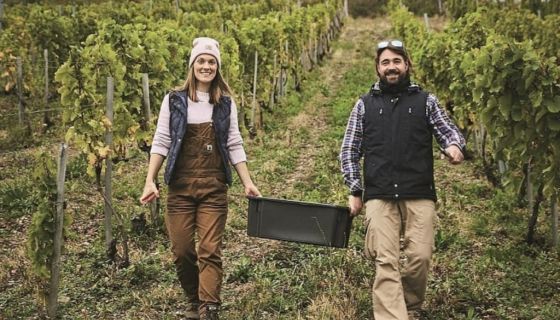 TR Wines - pic from Wines of Hungary