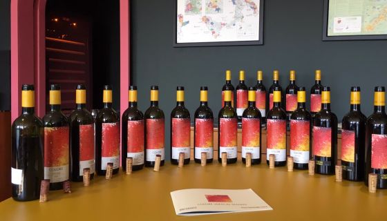 Bibi Graetz's Colore vertical bottles