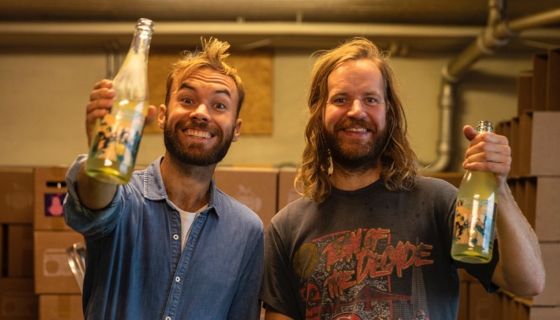 The Fruktstereo pair