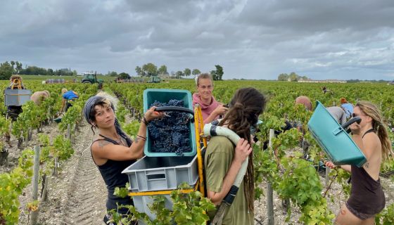 2020 vintage at Ch Leoville Poyferre, St-Julien, Bordeaux