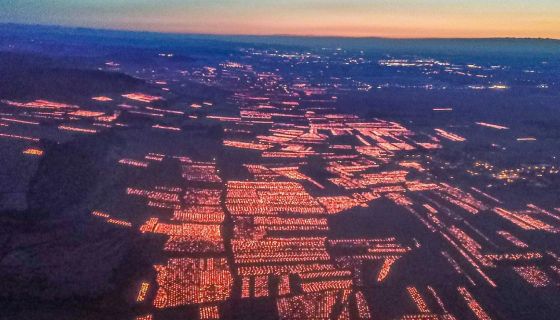 Frost candles Cote d'Or 7 April 2021 by Vincent Dancer