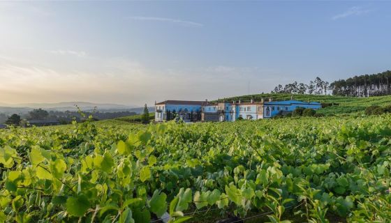 Bodega Granbazan, Rias Baixas