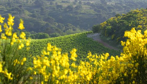Cabardes CIVL Céline et Gilles Deschamps