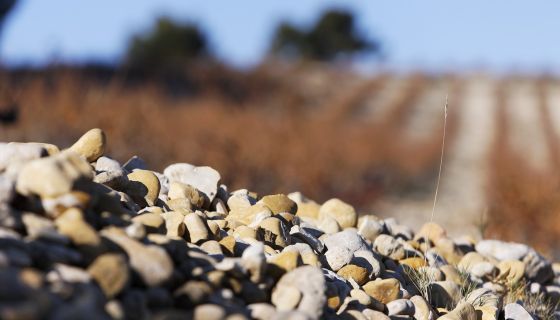 Rasteau galets roulés