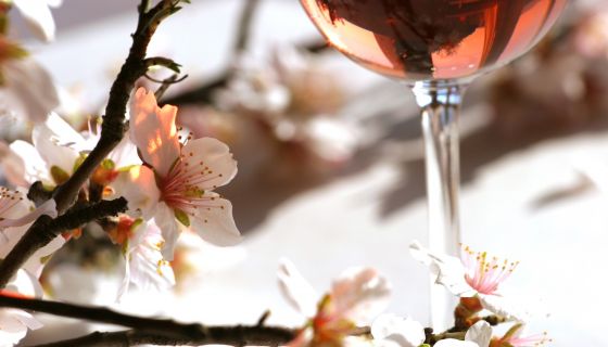 Languedoc almond blossom and rose wine