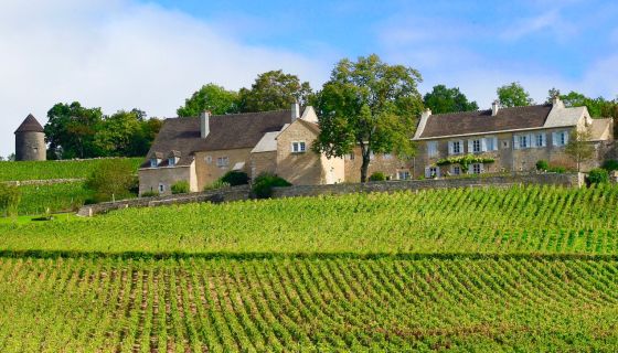 Dom du Cellier aux Moines in Givry in June 2015