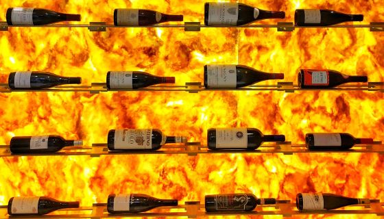 Oeno house wall of fine wine